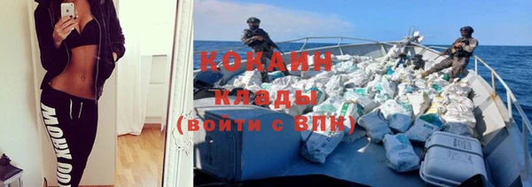 бошки Горняк
