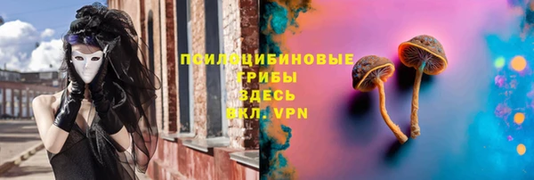спайс Горно-Алтайск