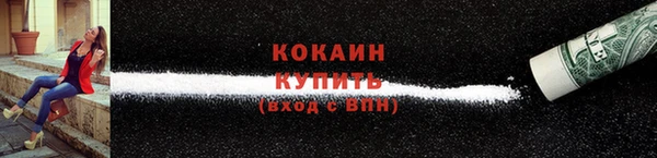 бошки Горняк