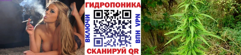 Марихуана VHQ  Купить закладки  Кореновск 